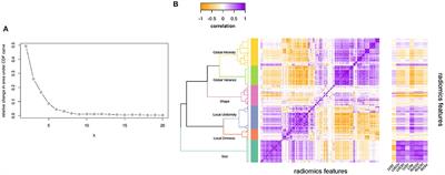 Cardiac Magnetic Resonance Radiomics Reveal Differential Impact of Sex, Age, and Vascular Risk Factors on Cardiac Structure and Myocardial Tissue